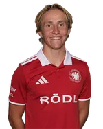 Ludwig Rix