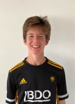 Henrik v.