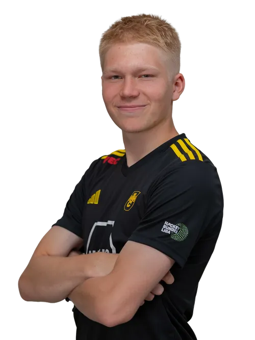 player image