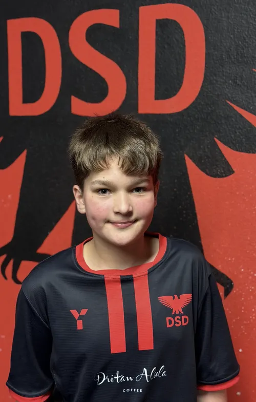 player image